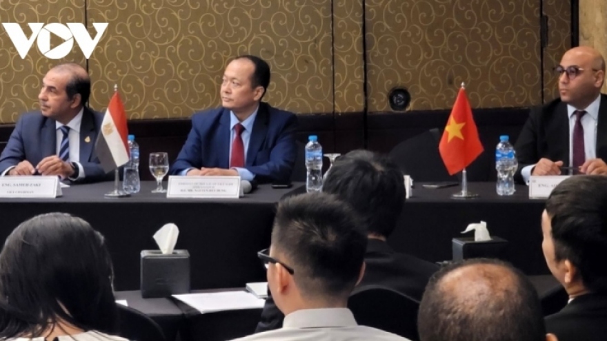 Vietnam, Egypt increase business connectivity, seize opportunities